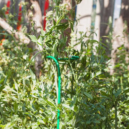 Цена за 2 шт. Кустодержатель для цветов, d=20 (5) см, h=120 см, ножка d=1 см, металл, зелёный - Simaland фото 7