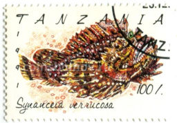 Марка Бородавчатка 1991 год Танзания