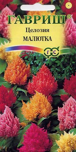 Малютка перистая, смесь целозия 0,01гр (г)