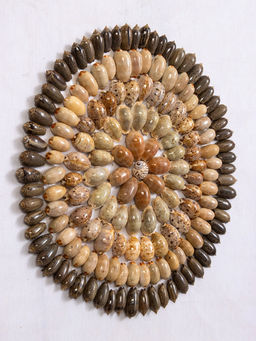 Панно «Композиция из ракушек», 45×3×45 см