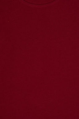 Erkek _ocuk Bordo Basic Sweatshirt Sepette S_rpriz _ndirim - U.s. polo assn фото 4