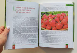 Книга "Всё о землянике и клубнике"