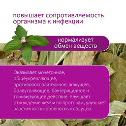 Лист кизила - Травы горного крыма фото 3