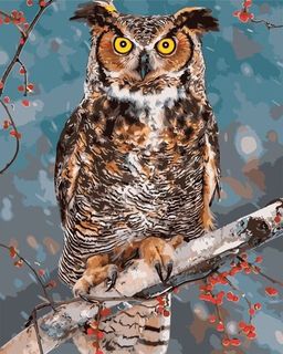 Филин зимой - Colibri фото 2