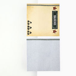 Подарочный набор 23 февраля, блок бумаг для записей, стикеры, ручка - Artfox фото 3