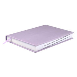 Ежедневник датированный 2024 ESCALADA, А5, 176 л., арт. 63749/ 15 ПЛОНЖЕ ЭКОНОМ СИРЕНЕВЫЙ