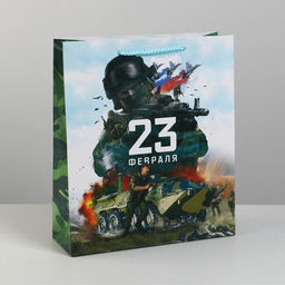 Цена за 2 шт. Пакет подарочный ламинированный, упаковка, С 23 февраля, M 26?30?9 см