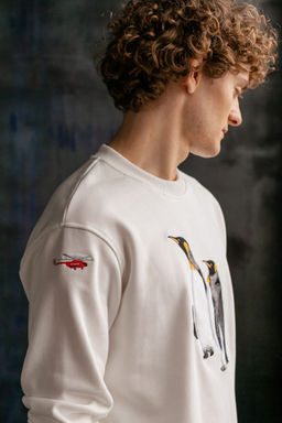 Свитшот мужской Penguins - Captain's mate фото 3