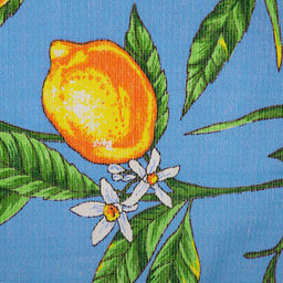 Полотенце вафельное 48х62см "Лимоны, голубой", хлопок 100%, 152гр/м2, "Домашняя мода" (Россия)