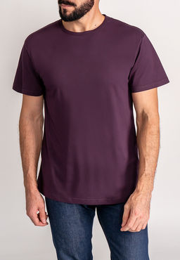 Футболка мужская короткий рукав GREG G145-RD-7020 (фиолет)