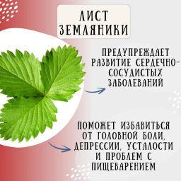 Камлёвъ Черный чай с ягодами клубники и листочками земляники Сливочная клубника, 48 г (16 саше) - Камлевъ фото 9