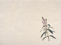 24С27-ШР/р.п/фкор/к. Комплект полотенец из 3 шт 46*60 "Прованские травы-3" рис. 295