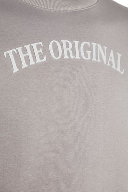 Gri Regular/Normal Kesim Ici Polar/S?cak Tutan Yaz? Bask?l? Sweatshirt TMNAW24SW00183 - Trendyolmilla фото 8