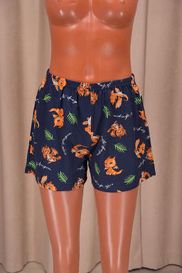 Шорты трикотажные (00754, вариант 66) - Плиона фото 2