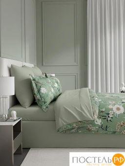 КПБ CASSIA СЕВИМ  фото 4