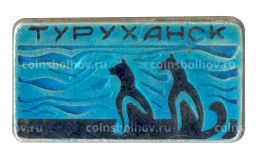 Значок Туруханск