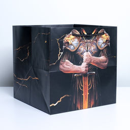 Пакет квадратный Цезарь, 30 30 30 см