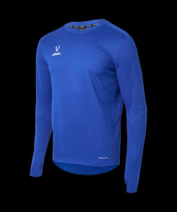 Джемпер тренировочный JOGEL DIVISION PerFormDRY Pro Training Top, синий