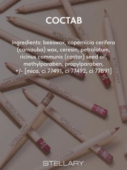 Stellary Карандаш для губ тон 01 nude rose фото 8