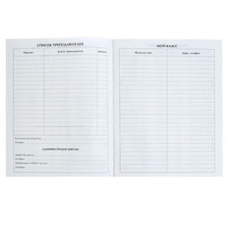 Цена за 2 шт. Дневник универсальный для 1-11 классов, «Футбол», твердая обложка 7БЦ, глянцевая ламинация, 40 листов