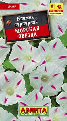 Ипомея Морская звезда