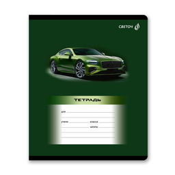 Светоч Т189 Тетрадь ученическая школьная, выборочный лак, A5 24 л. на скобе 65 г/кв.м , белизна 100 % 15 шт. линия 01461 Стартуют все фото 7