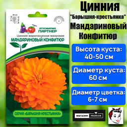 3379P Цинния МАНДАРИНОВЫЙ КОНФИТЮР / мариландская махровая 5шт