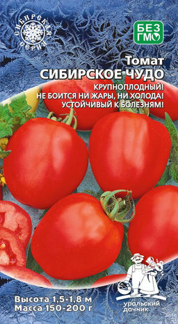 Томат СИБИРСКОЕ ЧУДО Крупноплодный! Не боится ни жары, ни холода! Устойчив к болезням!