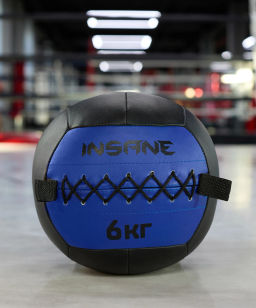 Медбол INSANE IN24-WB100 6 кг, синий