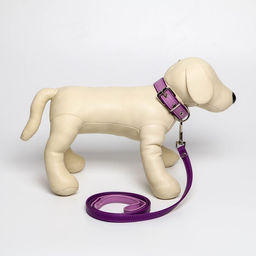 Комплект ошейник (58х2.5 см) и поводок (130х1.4 см) из экокожи, сиреневый с фиолетовым - Пушистое счастье фото 6