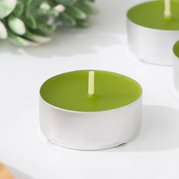 Набор ароматических свечей чайных «Хвоя», 3.8×1.6 см, 3.5 ч, 12 г, 6 шт.