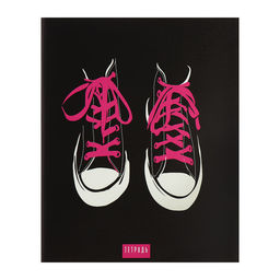 Набор тетрадей 96 листов в клетку Calligrata «Кеды», обложка мелованный картон, блок офсет, 4 шт.