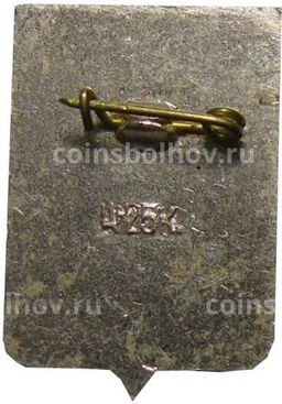 Значок Боровичи