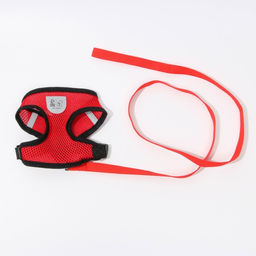 Шлейка дышащая с поводком и светоотражающей нашивкой, S, ОШ 27, ОГ 30-38,красная - Пушистое счастье фото 2