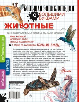 Животные - Аст фото 3