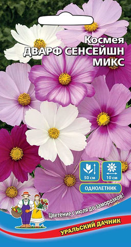 Космея ДВАРФ СЕНСЕЙШН МИКС