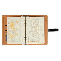 Органайзер на кольцах А5, 90 листов в линейку, с хлястиком, МИКС - Calligrata фото 14