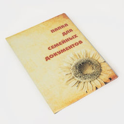 Папка для семейных документов А4, 1 комплект, цвет оранжевый