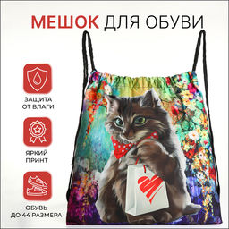 Мешок для обуви на шнурке, с принтом, размер 45×1×34 см, разноцветный