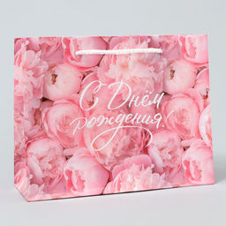 Цена за 2 шт. Пакет подарочный ламинированный, упаковка, «С Днём рождения!», MS 23 х 18 х 8 см