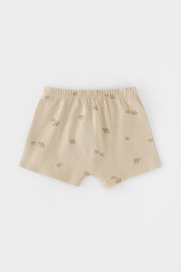 Crockid _ К 1930-2уп/морская пена,тем.бежевый,слонята трусы для мал