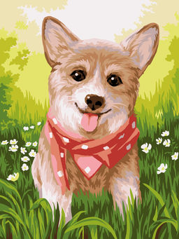 ФРЕЯ PKZ/PM-058 Набор для раскрашивания по номерам (на картоне) 40 х 30 см Корги в бандане