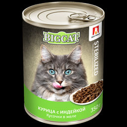 Зоогурман д/кош. BIG CAT ж/б 350 г.Стерилизованным Курица с индейкой 1/12 7972