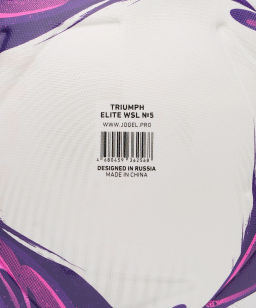 Мяч футбольный JOGEL Triumph Elite WSL №5