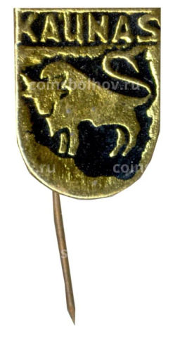 Значок Каунас