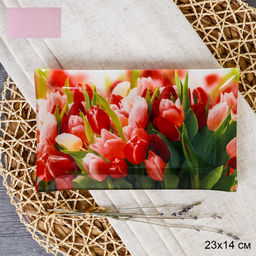 Блюдо для нарезки прямоугольное 23x14 см / S322314 HH326 GREY Тюльпаны / уп 6/72/ цветная коробка/ 731728