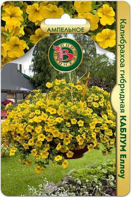 544e427e43767cbb9822c0cd5e36d4fa6ce3uev2mlp952lj