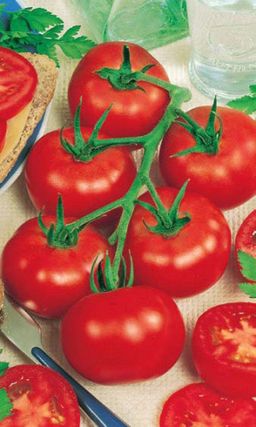 Томат РОК-Н-РОЛЛ F1 Единственный и неповторимый! Стабильно высокий урожай при любой погоде!