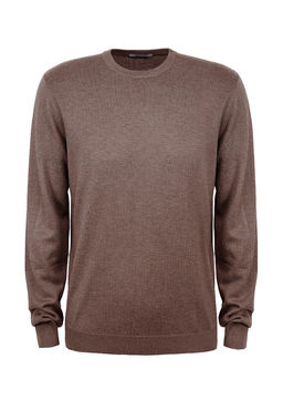 Джемпер мужской GREG G121-EV (какао)  фото 5