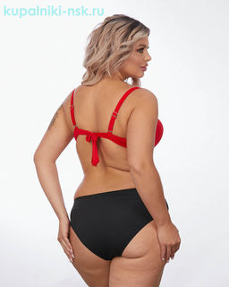 3690 Купальник раздельный (52-60)